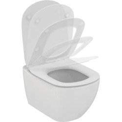  Toilet Frame + TESI Rimless Toilet + Soft-Close Seat + White Flush Plate + Sound Insulation (VICONNECTTESI2SET)