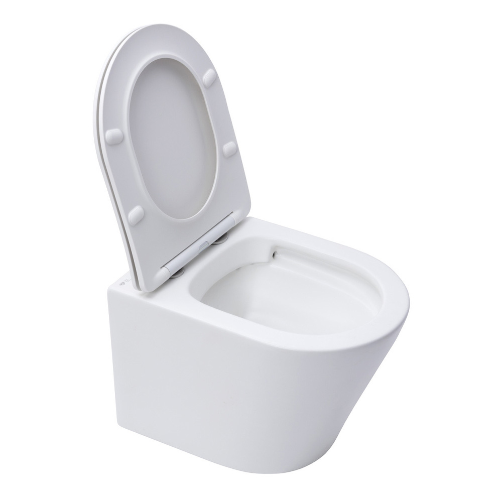 Swiss Aqua Technologies Wall hung toilet set frame + SAT Infinitio