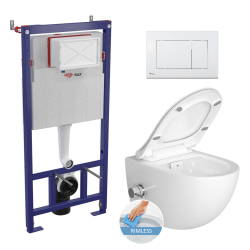 Swiss Aqua Technologies Frame + SAT Infinitio Rimless WC with thermostatic bidet function + White plate (SMARTK-SATClean-M270)