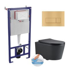 Swiss Aqua Technologies Toilet Frame + Black SAT rimless toilet, invisible fixings + Softclose seat + Gold plate (SMARTK-BlackSAT-gold)