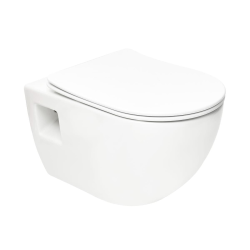 Swiss Aqua Technologies Project Wall-Hung Rimless Toilet with Soft-Close Seat, White (SATWCPRO010RREXP)