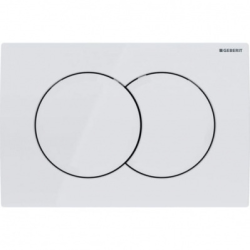 Geberit Duofix Frame+ SAT Rimless Toilet + Softclose Seat + White Flush Plate (SATrimlessGeb1-A)