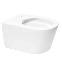  Toilet Frame + Swiss Aqua Technologies Rimless toilet + White plate (SLIM-BREVIS-C)