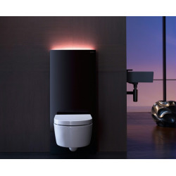  Duofix UP100 Toilet Support Frame + Concealed Cistern 112 cm (458.103.00.1)
