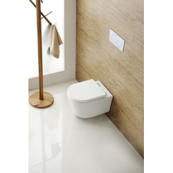  112cm Toilet Frame + Swiss Aqua Technologies rimless toilet + Bidet shower + White plate (SATGEB3SPR2)