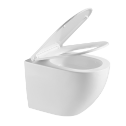 Grohe Rapid SL toilet frame + Swiss Aqua Technologies rimless toilet + Skate Cosmopolitan flush plate (RapidSL-FusionTQ-1)