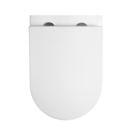 Geberit Duofix support + Swiss Aqua Technologies Rimless WC + Delta01 White plate (FusionTQGebX)