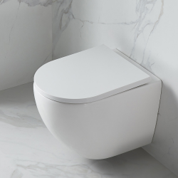  Duofix Toilet Frame + Swiss Aqua Technologies rimless + SoftClose seat + white plate (FUSIONGEB3)