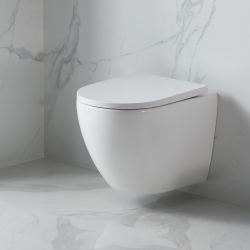 Geberit Duofix Wall-hung Toilet Frame + SAT Fusion Rimless Toilet + Soft-close Seat + White Flush Plate (FUSIONGEB3)