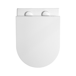  Toilet Frame + Swiss Aqua Technologies Rimless bowl + Softclose Seat + Plate + Toilet Brush FREE (DELANOGEB3-FLEX1)