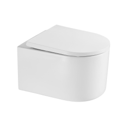 Grohe Rapid SL toilet frame + SAT rimless toilet + SoftClose seat + Chrome flush plate (ProjectDelano-1)