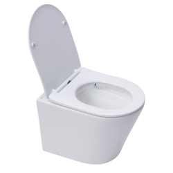 Geberit Toilet Frame + Swiss Aqua Technologies Rimless toilet + White plate (SLIM-INFINITIO-B)