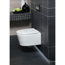  Flat Toilet Frame + Swiss Aqua Technologies Rimless bowl + Seat + Plate (SLIM-SATRIMLESS-E)
