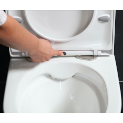 Geberit Duofix support frame + SAT rimless WC + Softclose seat + White flush plate + FREE toilet brush (SATrimlessGeb3-Flex1)