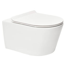 Geberit UP100 Toilet Frame + Swiss Aqua Technologies rimless + ultra-thin seat (BREVISGEB10)