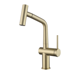 Ceramia Timeless Single-Handle Stainless Steel Single-Lever Sink Mixer Tap with Pull-Out Spray, Brushed Gold (TMLKF185BG)