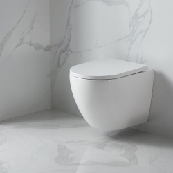 Swiss Aqua Technologies Lightweight 112 cm ECO 2L Frame + Swiss Aqua Technologies Toilet + matt black plate (STEST67WR02-IN)