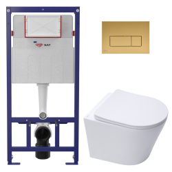 Swiss Aqua Technologies ECO 2L Toilet frame + Swiss Aqua Technologies rimless wall-hung toilet + matt gold plate (STESTINWR06-IN)