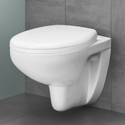 Bau Ceramic Wall mounted toilet bowl, alpine white  (39427000)