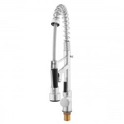 Swiss Aqua Technologies Spring neck sink mixer, 2 spray, chrome (BSD284)