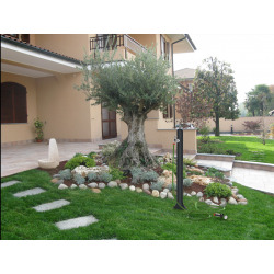 Arkema Design H2O Garden fountain with tap, Green (GH115/6016)
