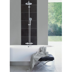 Grohe Euphoria 110 Mono Hand shower 1 spray, Chrome (27265000)