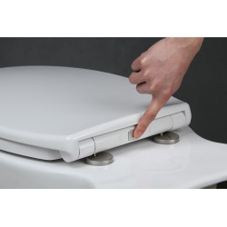  Softclose toilet seat suitable for most toilet bowls, White (EASY2244)
